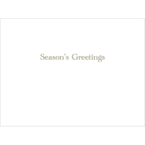 Brockman: Park in Winter Holiday Cards*The Met Store Shop