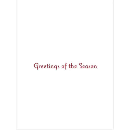 Earle: Berries Holiday Cards*The Met Store Outlet