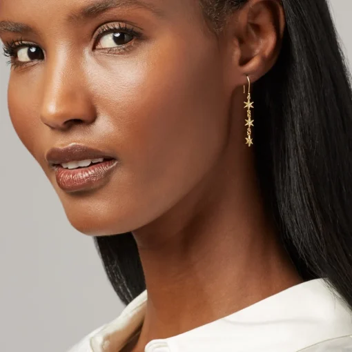 Moon and Stars Drop Earrings*The Met Store Clearance