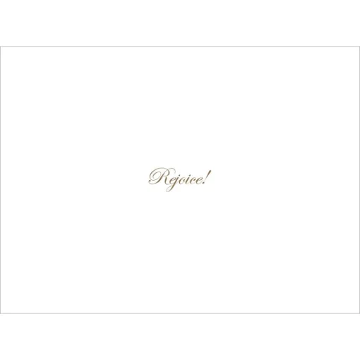 Romano: The Nativity Holiday Cards*The Met Store Store